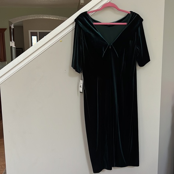 Adrianna Papell Short Sleeve Roll Neck Velvet Sheath Dress - Picture 6 of 12